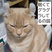 ノルマン・2023年産馬名決定