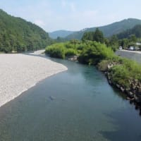 本日の海部川
