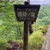 霧降高原 キスゲ平園地