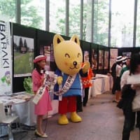 丸ビルのフェア：茨城県