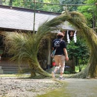 梅雨明けの夏！茅の輪くぐりでみんなの無病息災を祈願してきました！