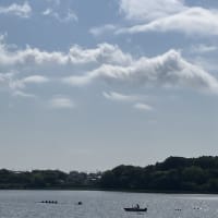 佐鳴湖7