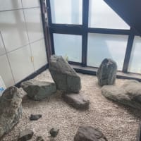 名階段で昼食を食べる