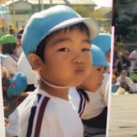 お弁当と最近の過ごし方
