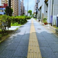 令和７年７月７日　暑中御見舞申し上げます