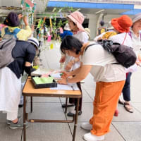 短冊に願いを込めて笹揺れる