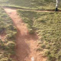登山道の修復や植生回復に