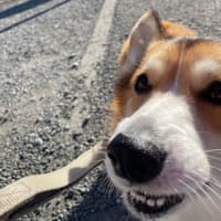 入院していました