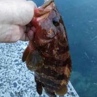 灯台下暗し。