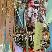 令和7年7月7日七夕【福岡市社交ダンス教室・福岡市社交ダンススタジオ・薬院、渡辺通、柳橋・福岡のダンススクールライジングスター】