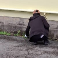 ごみゼロ運動を行いました