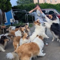 18ジャスミンキッズ　お誕生会　後編