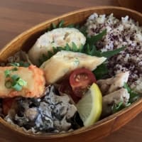 ベランダ菜園　ハダニが減って元気に・海老しんじょ弁当２人分