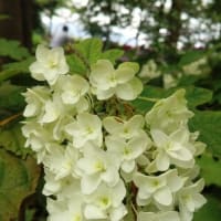 続き