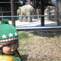 上野動物園 その２