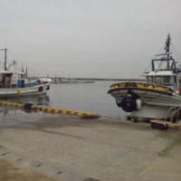 淡路島へお魚求めて買付け♪
