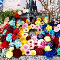 春らしい桜の花手水です！～札幌諏訪神社～