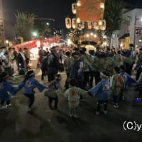 「桑名石取り祭り」