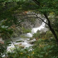 山高水長