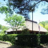 連休初日 新緑の石神井公園と周辺の社寺へ〈前半〉（東京・練馬）