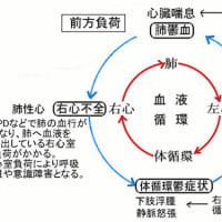 呼吸困難の体験例