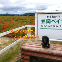 噂のお店に・・・