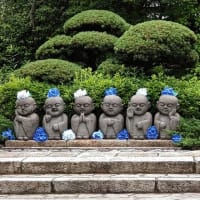 京都ロングステイ⑩