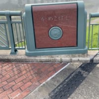 荒川放水路〜旧中川沿いを歩く①
