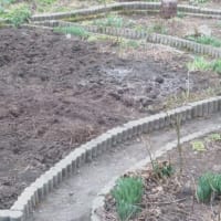 ４月の庭仕事（1）菜園の土起し始める