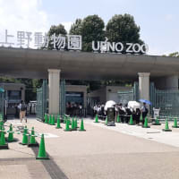 東照宮第一商店と鶯団子と動物園の風景
