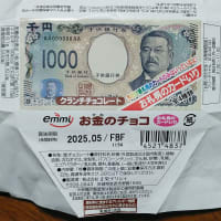 【元祖・大人の食玩】「お金のカード」【お金のチョコ】新紙幣発行篇