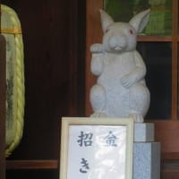 京都写ん歩　うさぎの神社
