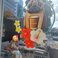 ザ・アイランド レイヤード 久屋大通パーク店 ～ ポケ＆スパイシーサーモン ～