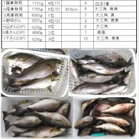 令和7年度「えべっさん釣クラブ｣県外遠征磯釣大会