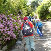 ならのむかし話№31「土ぐも退治」（主人神社）〜奈良県ウォーキング協会特別例会