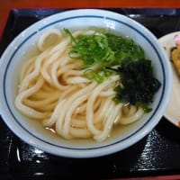こがね製麺所高知一宮店へ行きたくて