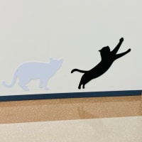 『写真展　岩合光昭の日本ねこ歩き』