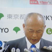 舛添東京都知事政治資金の支出についての疑問！