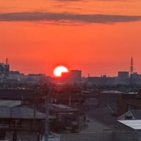 そして火曜日水曜日。and本日木曜日。