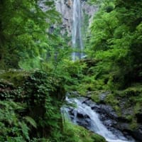 大分の滝を少しだけ