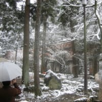 冬の名残　（京都の雪景色）