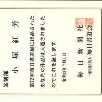 第72回毎日書道展入選