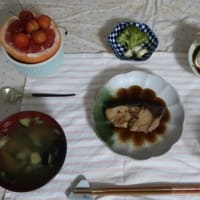 ７月１１日