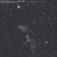 24/02/12「寒暖差大の陣」　part.5　なぁ〜んかイマイチだった「魔女の横顔星雲　IC2118」…。