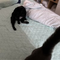 すたこらさっさｗ