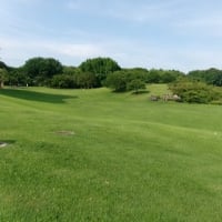 2025　空梅雨　横浜1