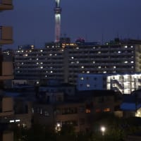 テレワークが普通になってきたかな？でも、来週の月曜日は出社(･ω･)