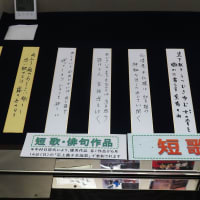 じないまちの紫陽花２０２５