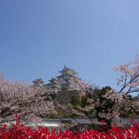 旅行
