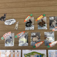 誰だ？